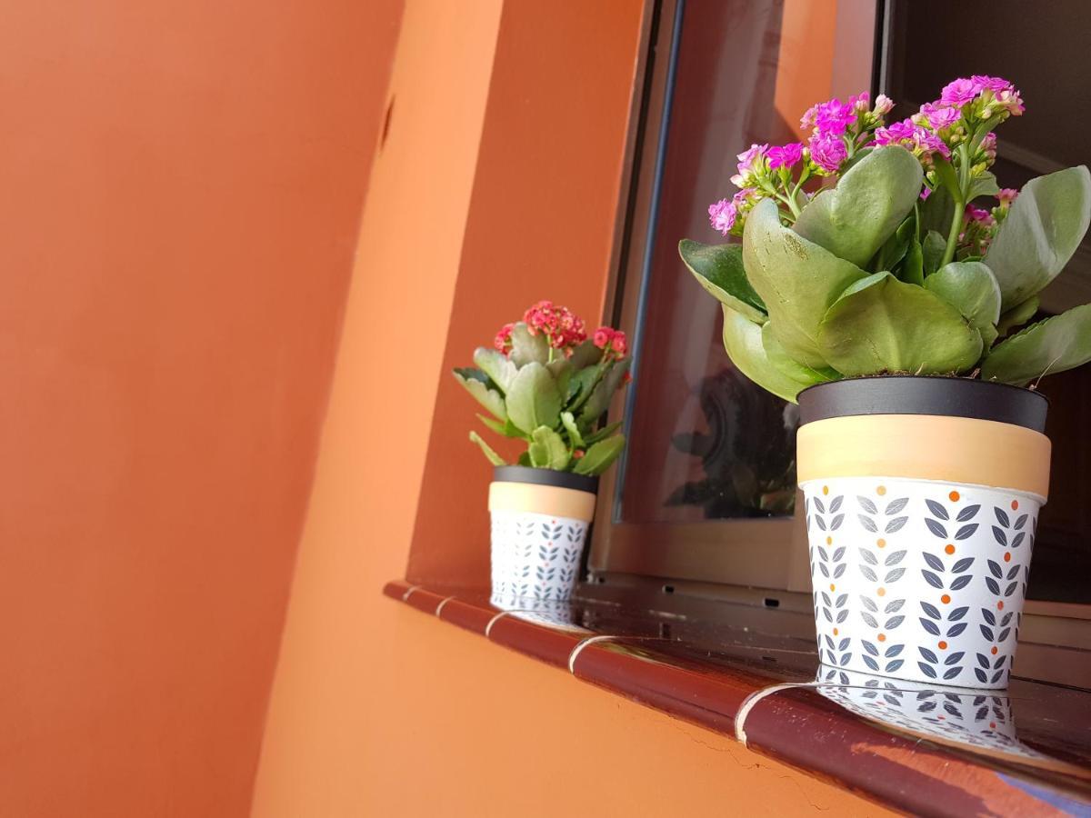 Teno Mountains&Bananas Garden House Apartment Los Silos Exterior photo